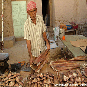 Yemen: Hadramwat